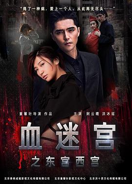 血迷宫之东宫西宫封面图