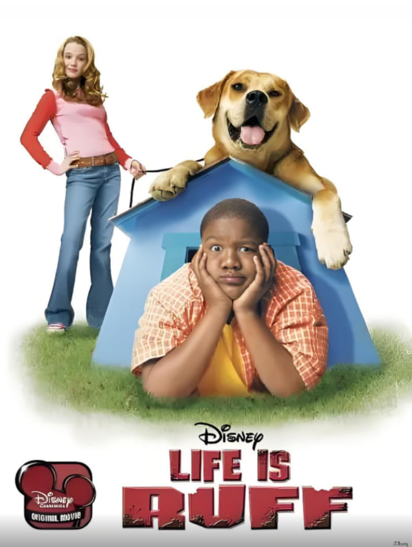 天才宝弟的狗日子封面图