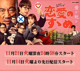 恋爱指南封面图