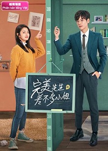完美先生和差不多小姐越南语版封面图