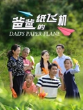 爸爸的纸飞机封面图
