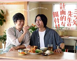 三矢老师的计划式投喂。封面图