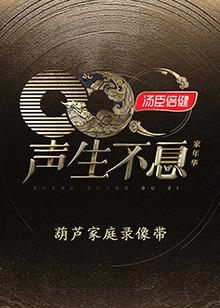 声生不息·家年华葫芦家庭录像带封面图