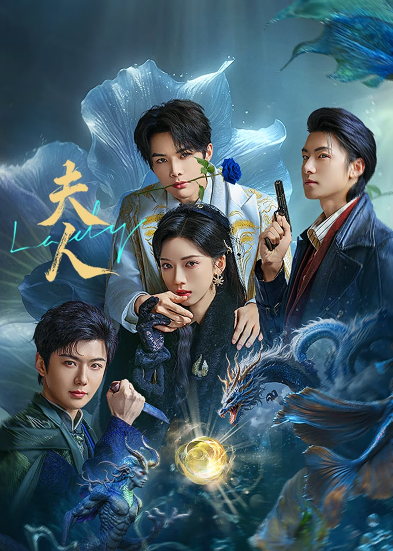 夫人 2025封面图