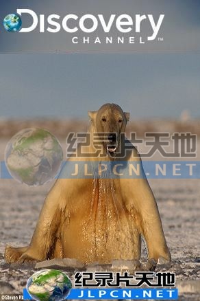 动物绝技大公开封面图