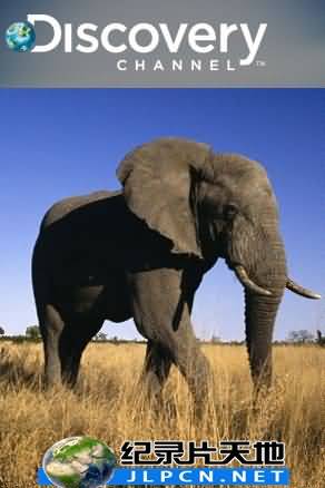 大象保卫战封面图