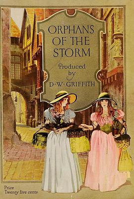 暴风雨中的孤儿封面图