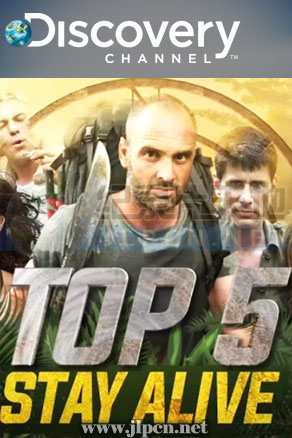 求生这5招封面图