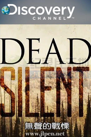 无声的战慄封面图