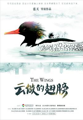 云做的翅膀封面图