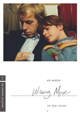 错误的举动封面图