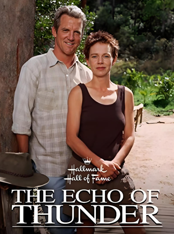 雷声的回响封面图