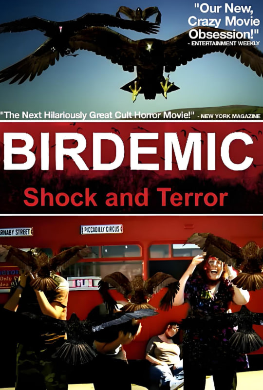 群鸟：震惊和恐怖封面图