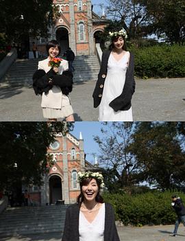 荣耀之歌封面图