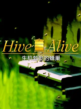 生机勃勃的蜂巢封面图