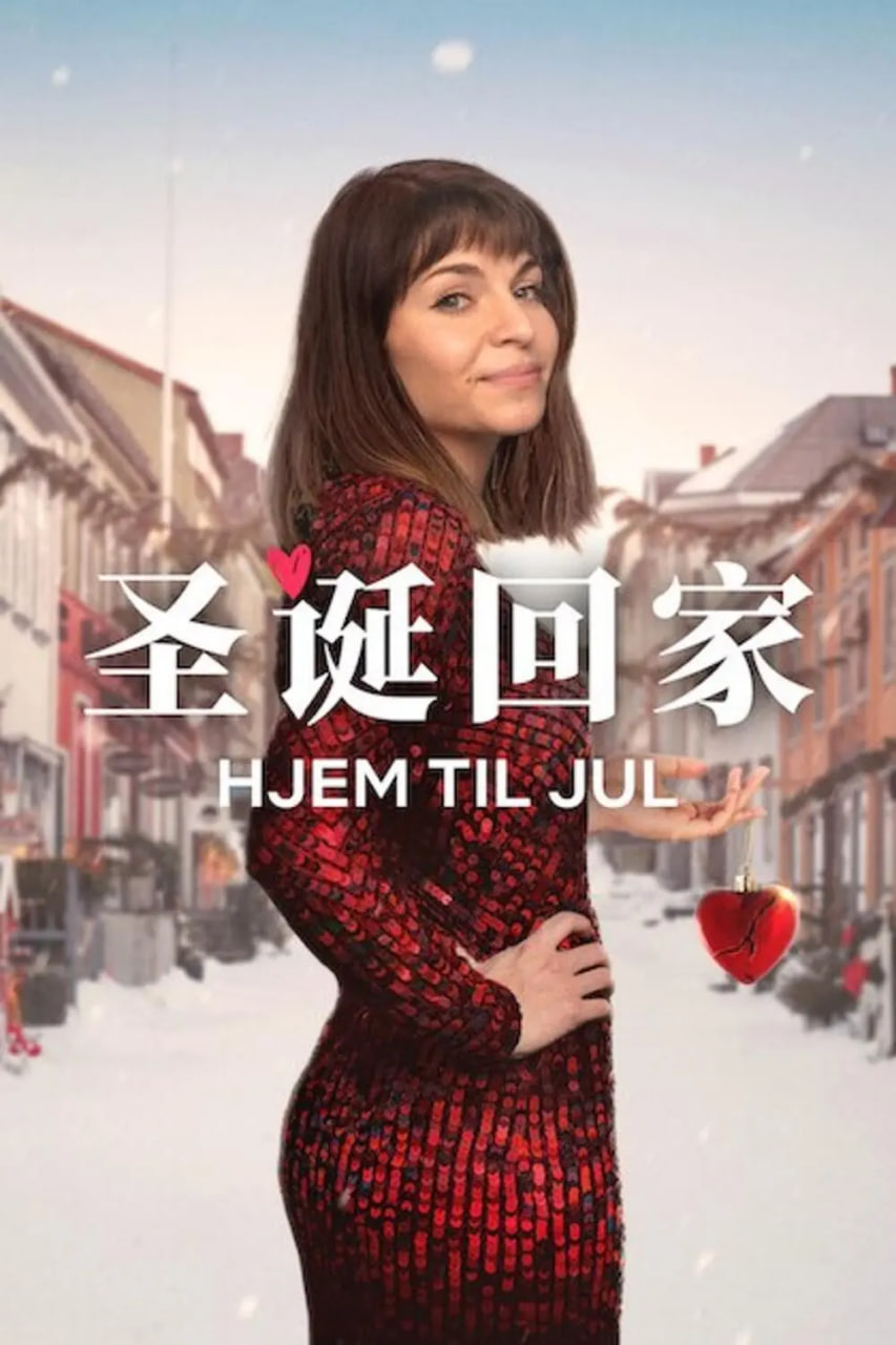 圣诞寻伴 第三季封面图